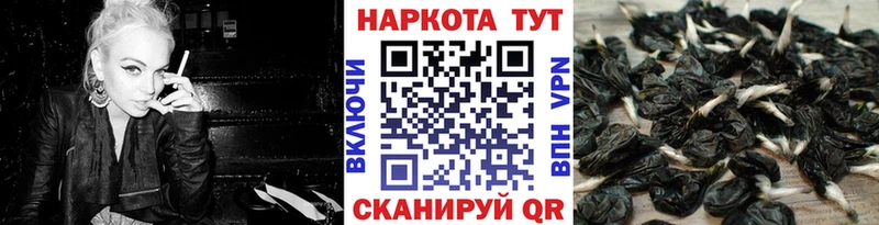 Что такое Петров Вал Вейп ТГК  Кокаин  Меф  Конопля  кракен ссылки  СОЛЬ  Псилоцибиновые грибы  ГАШИШ 