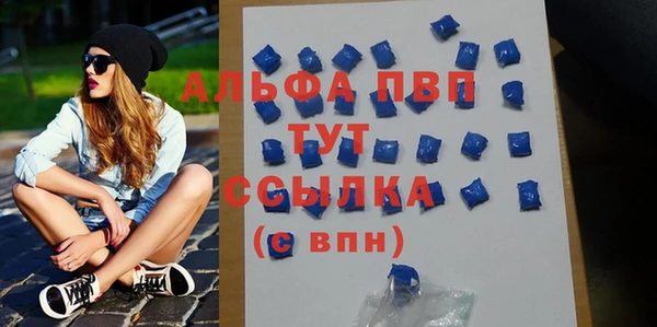 тгк Новодвинск