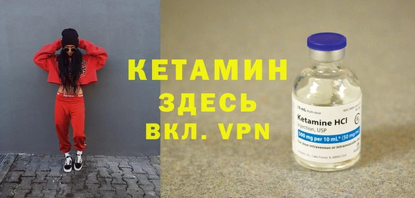 сатива Ельня