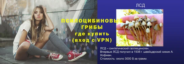 спиды Елабуга