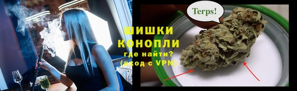 сатива Ельня