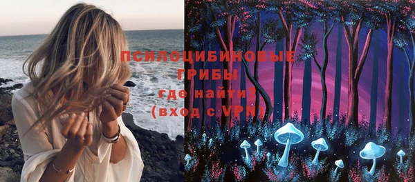 ГАЛЛЮЦИНОГЕННЫЕ ГРИБЫ Заволжье