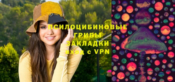 тгк Новодвинск