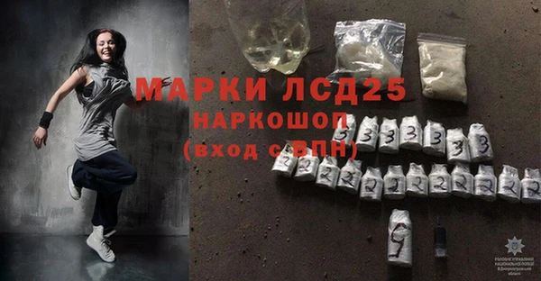 ГАЛЛЮЦИНОГЕННЫЕ ГРИБЫ Заволжье