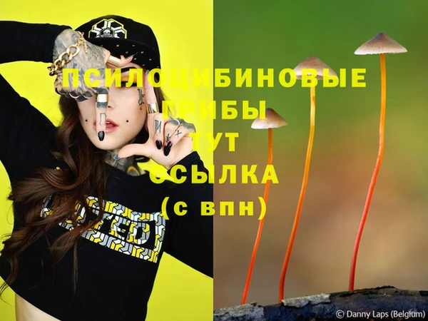 каннабис Заволжск